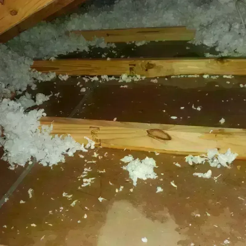 Attic Water Damage in Grant County, KS