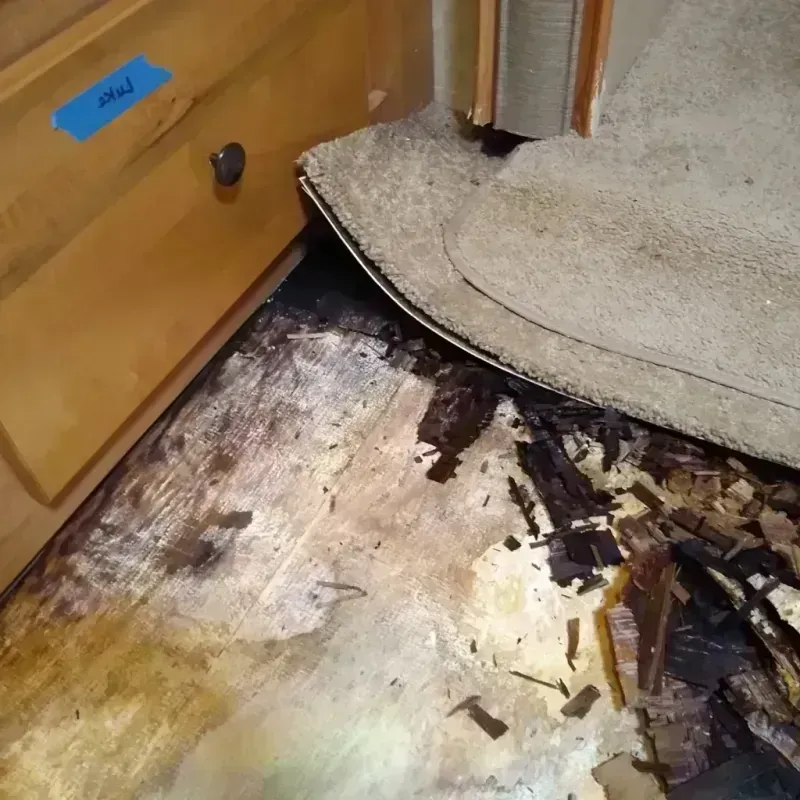 Wood Floor Water Damage in Grant County, KS